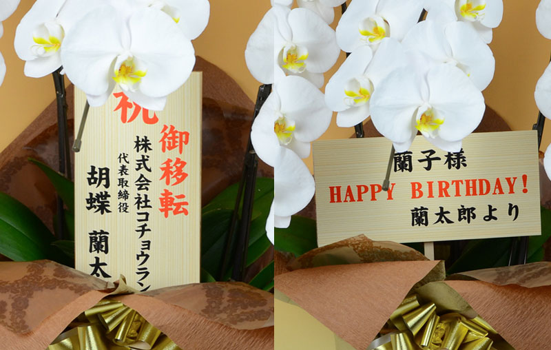 胡蝶蘭を贈る時のマナー 日本胡蝶蘭 開店 就任 移転 御供などの胡蝶蘭専門店 公式通販ショップ
